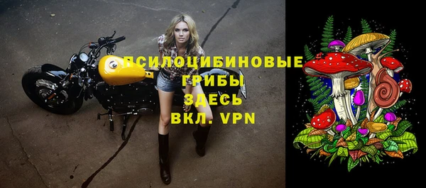 круглые Белокуриха